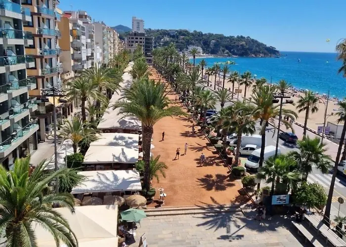 De Diseño Equipado Céntrico Moderno