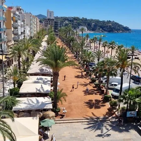 De Diseño Equipado Céntrico Moderno